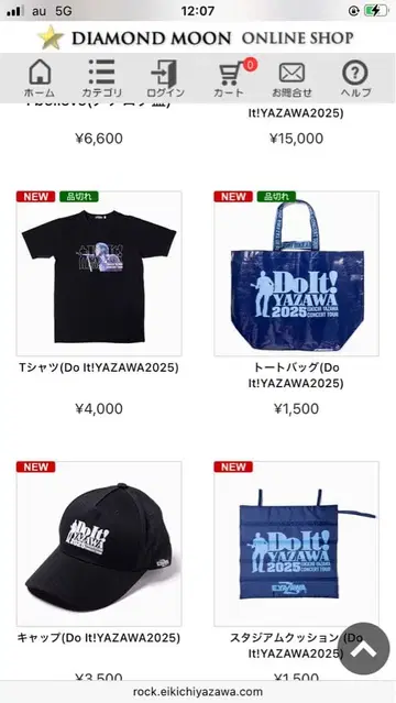 야자와 에이요시 2025 콘서트 DO IT