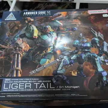 30MM ARMORED CORE VI 라이거 테일 정크