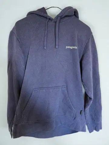 파타고니아 Fitz Roy Horizons Uprisal 후디 S