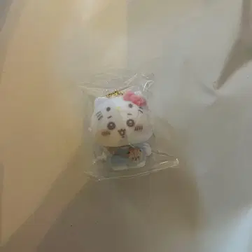 치이카와 키티 산리오 시크릿 플로키 마스코트 참