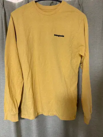 Patagonia 롱 T셔츠