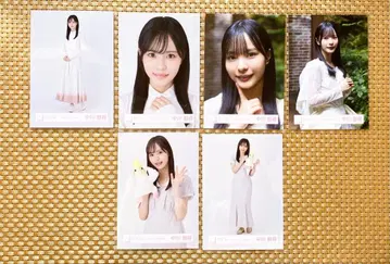 사쿠라자카46 나카가와 치히로 정리