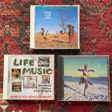 아레스티드 디벨롭먼트 CD 3장 세트