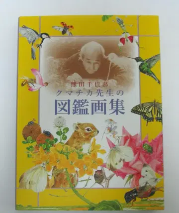 쿠마치카 선생님의 도감화집 / 쿠마다 치카모토
