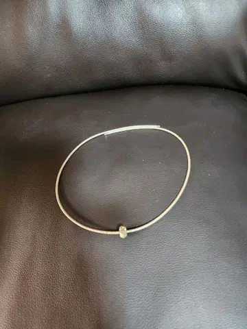 디노스 자기장 목걸이