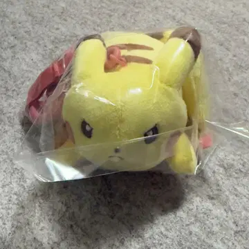 열열색 노력가 피카츄 마스코트 포켓몬 센터