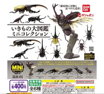 생물대도감 미니 컬렉션 곤충 01 컴플리트