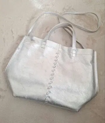 ear PAPILLONNER 센터 포인트 토트백 실버