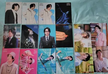 Mrs.GREENAPPLE 오오모리 모토키 바벨탑 포토 카드 16장 세트