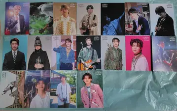 Mrs.GREENAPPLE 와카이 히로토 바벨탑 포토 카드 18장 세트