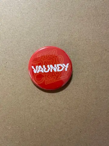 VAUNDY 레이디클 캔뱃지 2020