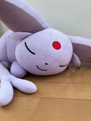 새근새근 에브이 포켓몬 센터 한정판