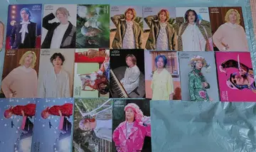 Mrs.GREENAPPLE 후지사와 료카 바벨탑 포토 카드 18장 세트