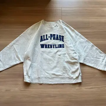 Champion 리버스 위브 스웨트 셔츠 90s 00s