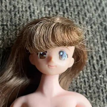 리카짱 인형 제니 프렌드 리리안