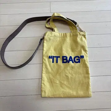 IT BAG 캔버스 숄더백