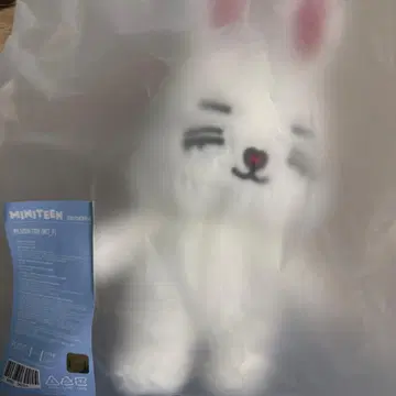 SEVENTEEN MINITEEN 에스크 체리