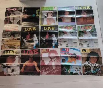 사이조 히데키 팬클럽 뉴스레터 Love