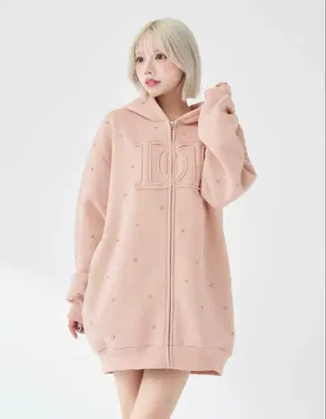 Darich DD 로고 비쥬 지퍼 후드티