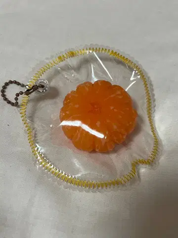 통째로 귤 스퀴즈