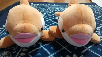 스마 월드 오르카 복권 3등 2개 시나몬 컬러