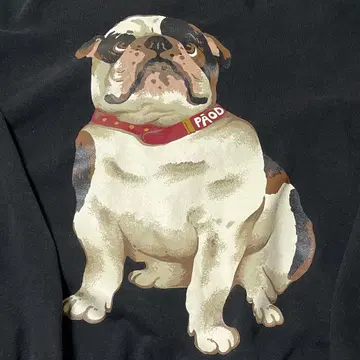 파오델로 paodelo 불독 맨투맨