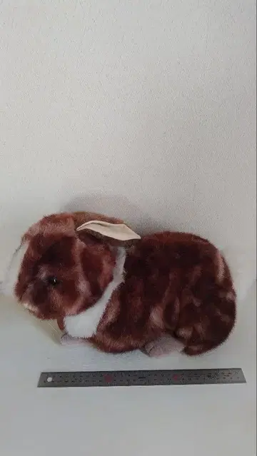 토끼 봉제 인형