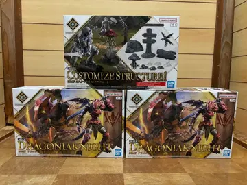 드라코니아 나이트 커스터마이즈 스트럭처 30MF 달리아 웨어