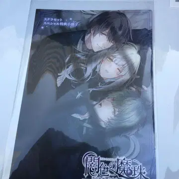 Switch판 어둠색의 마주 스텔라 세트 소책자