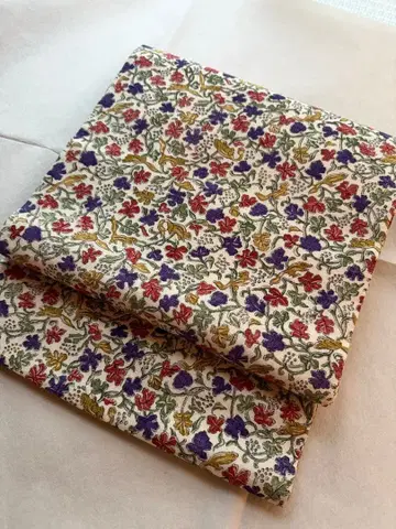 나고야 오비  다람쥐 꽃