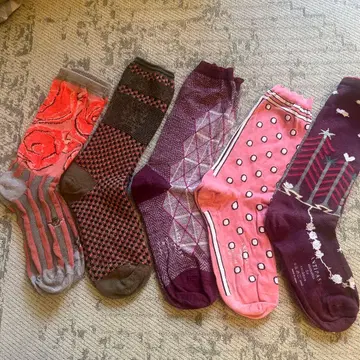 안티파스토 삭스 5켤레 세트