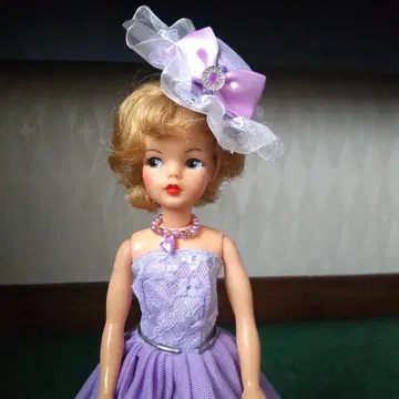 태미 인형과 의상