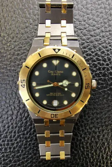 GayGiano 지아노 콤비 워치
