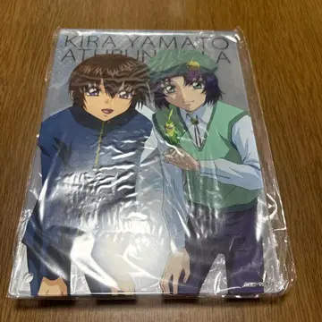 건담 SEED 아크릴 아트 패널 키라 & 아스란 (유년기)