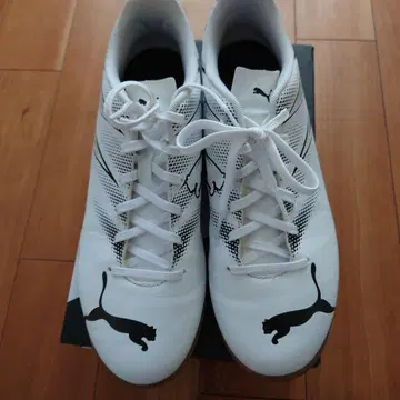 Puma 풋살화 화이트
