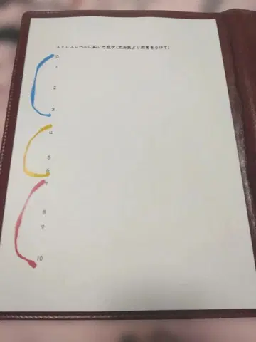 셀프 케어 기록 시트 3종 세트 (인쇄하여 배송)