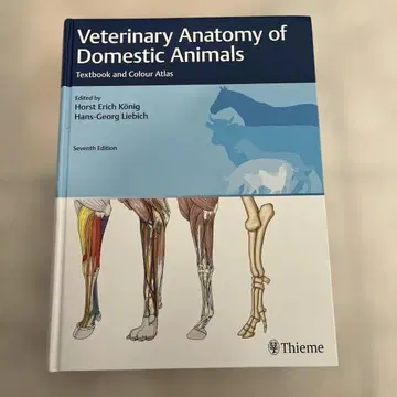 Veterinary Anatomy of Domestic Animals,