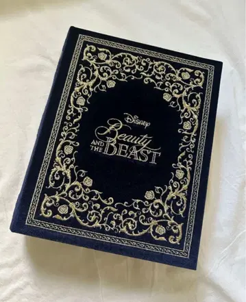 Francfranc 미녀와 야수 액세서리 박스