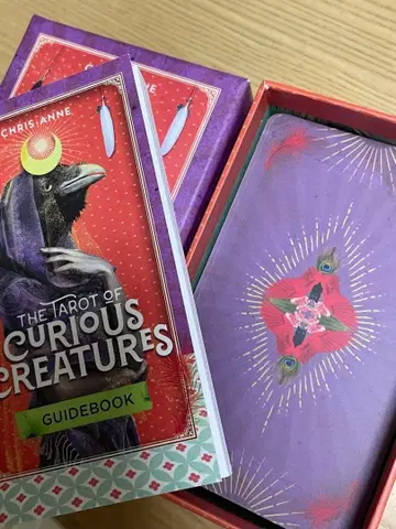 타로 오브 큐리어스 크리처스 (거의 미사용)