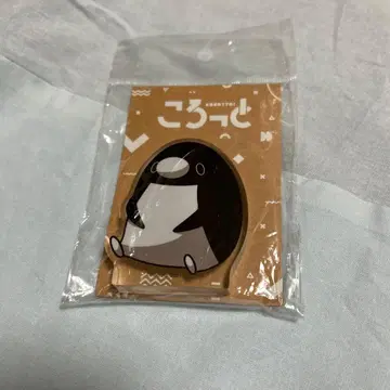 펭귄 코롯토 테이코 펭귄