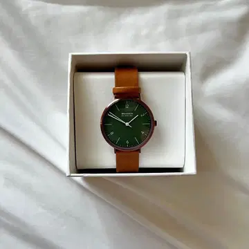 [ 즉시 구매 ] SKAGEN 손목시계