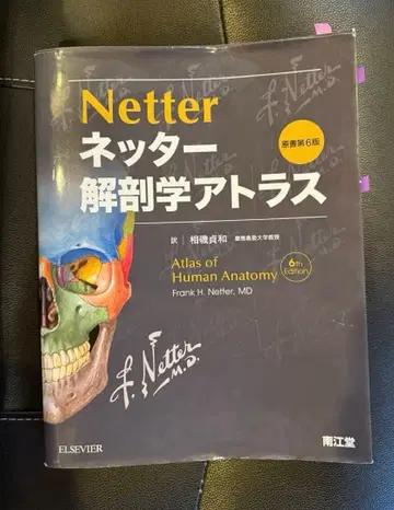 Netter 해부학 아틀라스 제6판 Netter