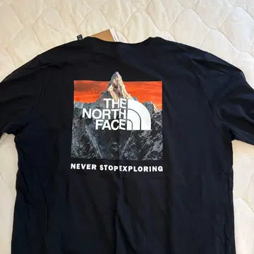 THE NORTH FACE 긴팔 티셔츠 L 백 프린트