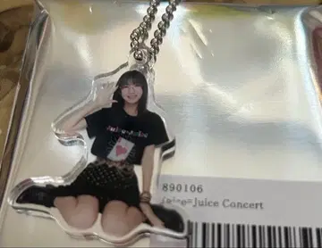 임인애 아크릴 키링