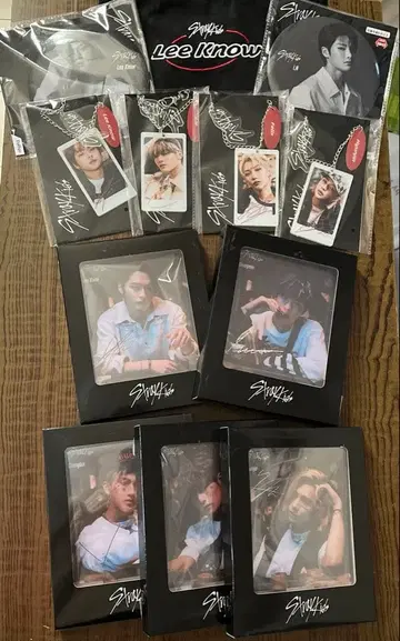 Stray Kids 스마트폰 스탠드 캔뱃지 백참 백 세트