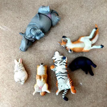 ZooZooZoo 한가로운 잠 [ 총 6종 ]