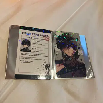 최저가 열강전선 서원 연일 트레이딩 홀로그램 카드