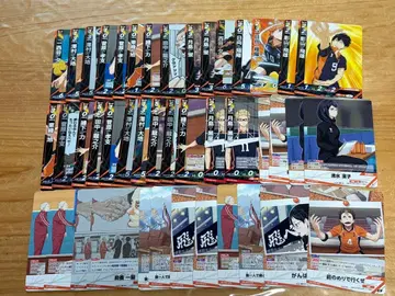 하이큐 바보카 156장