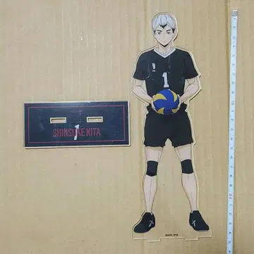 하이큐!! 키타 신스케 유니폼ver. 특대형 아크릴 스탠드
