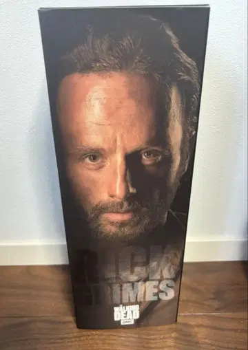 워킹 데드 릭 피규어